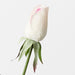 Artificial Everly Rosebud 44cm Cream Pink - Pack of 24 - FLORA DESIGNS