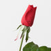 Artificial Everly Rosebud 44cm Red - Pack of 24 - FLORA DESIGNS