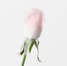 Artificial Everly Rosebud 44cm Light Pink - Pack of 24 - FLORA DESIGNS
