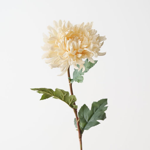 Artificial Chrysanthemum 58cm Cream - Pack of 12 - FLORA DESIGNS