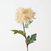 Artificial Chrysanthemum 58cm Cream - Pack of 12 - FLORA DESIGNS