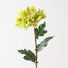 Artificial Chrysanthemum 58cm Green - Pack of 12 - FLORA DESIGNS