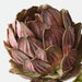 Artificial Artichoke Stem 32cm Burgundy Green - Pack of 12 - FLORA DESIGNS
