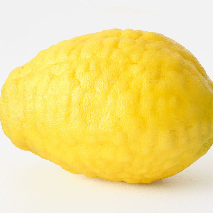 Artificial Lemon 12cm Yellow - Pack of 12 - FLORA DESIGNS