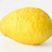 Artificial Lemon 12cm Yellow - Pack of 12 - FLORA DESIGNS