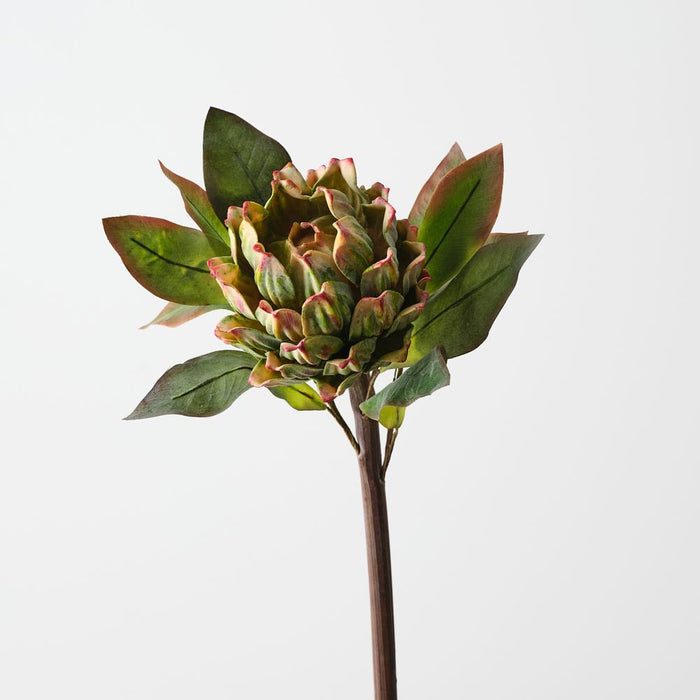 Artificial Artichoke Stem 62cm Green - Pack of 12 - FLORA DESIGNS