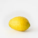 Artificial Lemon Yellow - Pack of 12 - FLORA DESIGNS