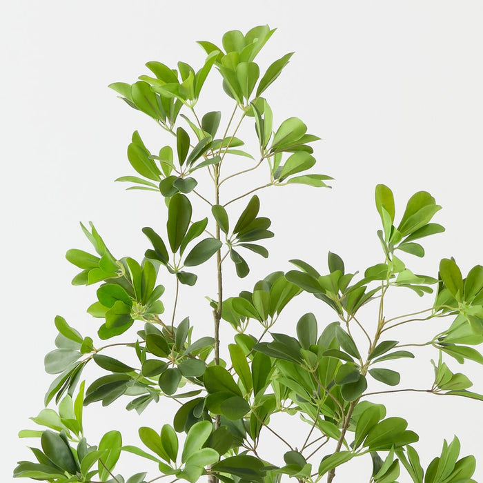 Artificial Umbrella Tree 150cm Green - FLORA DESIGNS