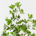 Artificial Umbrella Tree 150cm Green - FLORA DESIGNS