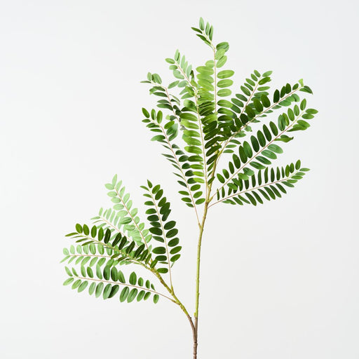 Artificial Cassia Leaf Spray 140cm Green - Pack of 6 - FLORA DESIGNS