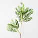 Artificial Cassia Leaf Spray 140cm Green - Pack of 6 - FLORA DESIGNS