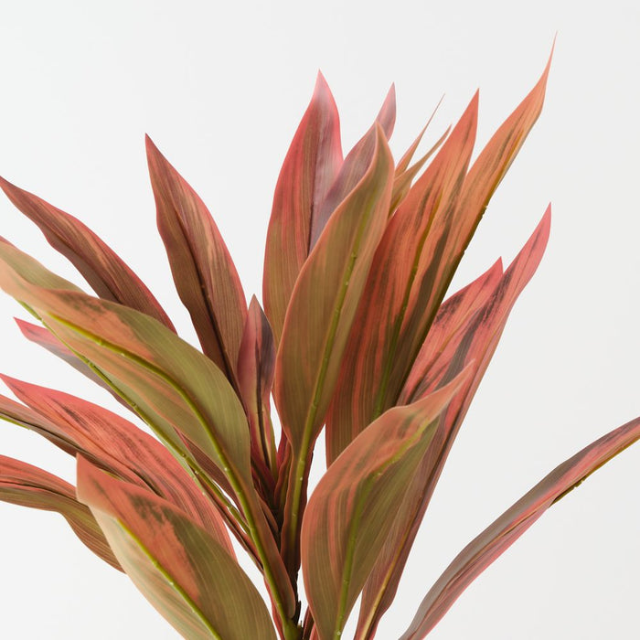 Artificial Cordyline Leaf Spray 100cm Burgundy - Pack of 6 - FLORA DESIGNS