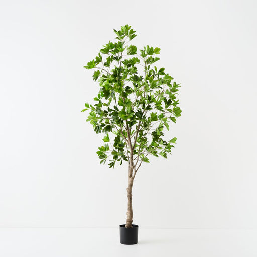 Artificial Umbrella Tree 210cm Green - FLORA DESIGNS