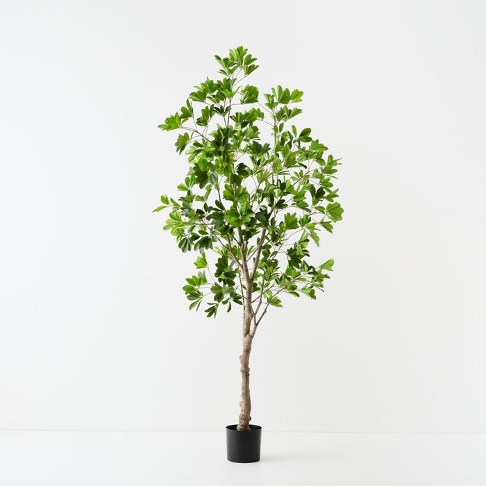 Artificial Umbrella Tree 210cm Green - FLORA DESIGNS