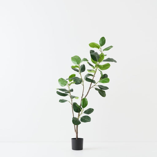Artificial Rubber Tree 150cm Green - FLORA DESIGNS