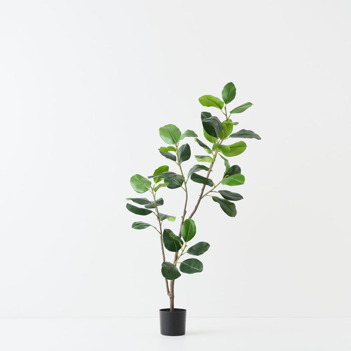 Artificial Rubber Tree 150cm Green - FLORA DESIGNS