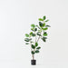 Artificial Rubber Tree 150cm Green - FLORA DESIGNS