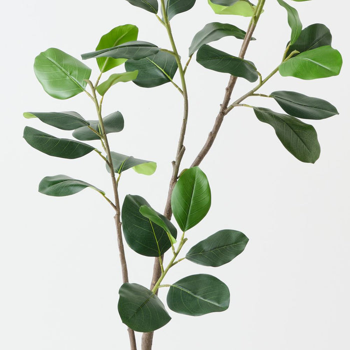 Artificial Rubber Tree 150cm Green - FLORA DESIGNS