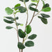 Artificial Rubber Tree 150cm Green - FLORA DESIGNS