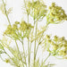 Artificial Queen Annes Lace Bundle 89cm Green - Pack of 12 - FLORA DESIGNS