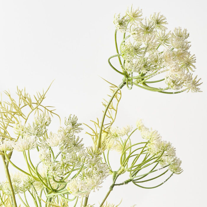 Artificial Queen Annes Lace Bundle 89cm White - Pack of 6 - FLORA DESIGNS
