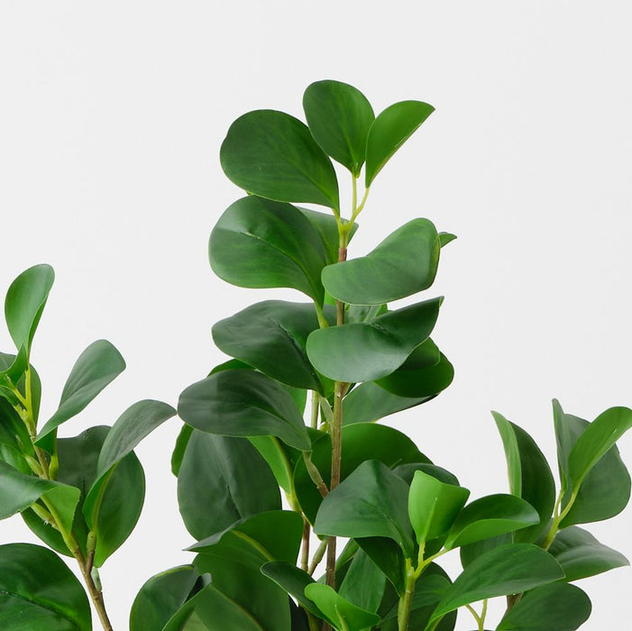 Artificial Peperomia Plant 42cm Green - FLORA DESIGNS