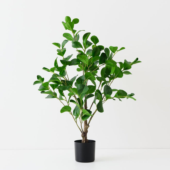 Artificial Peperomia Tree 80cm Green - FLORA DESIGNS