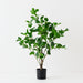 Artificial Peperomia Tree 80cm Green - FLORA DESIGNS