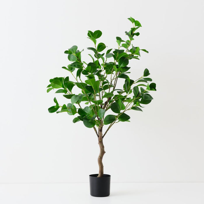 Artificial Peperomia Tree 110cm Green - FLORA DESIGNS