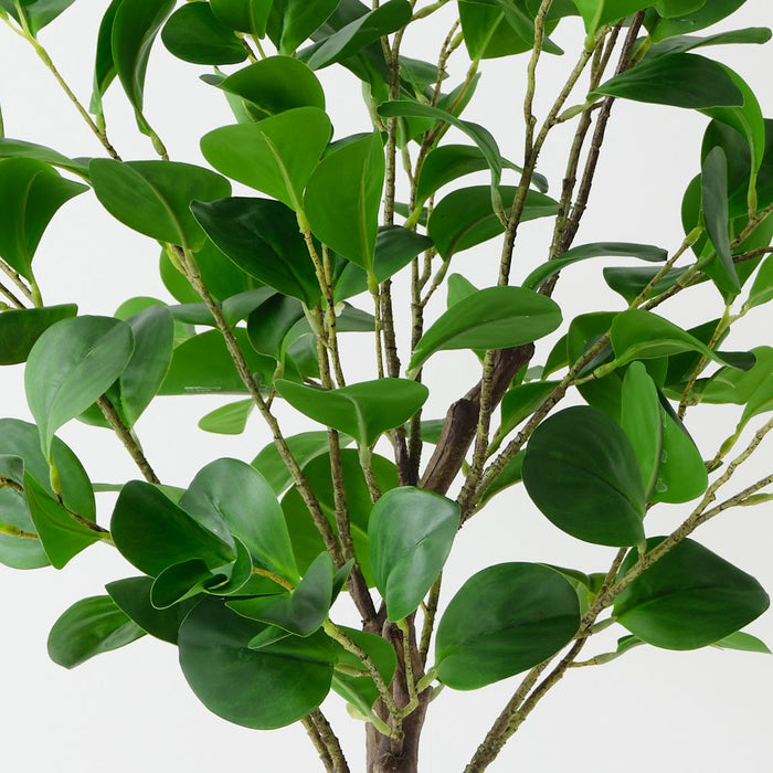 Artificial Peperomia Tree 110cm Green - FLORA DESIGNS