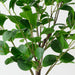 Artificial Peperomia Tree 110cm Green - FLORA DESIGNS