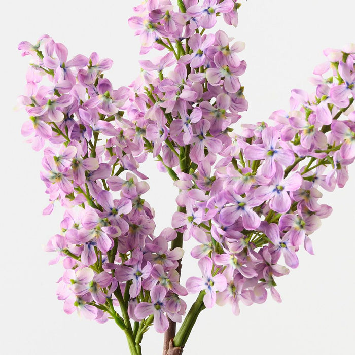Artificial Lilac Spray 88cm Lavender - Pack of 12 - FLORA DESIGNS