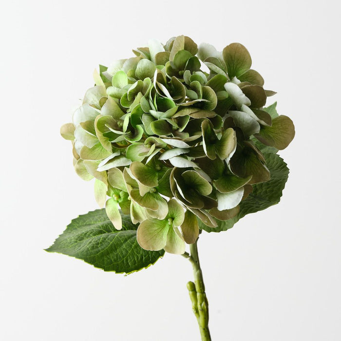 Artificial Hydrangea 60cm Green - Pack of 6 - FLORA DESIGNS