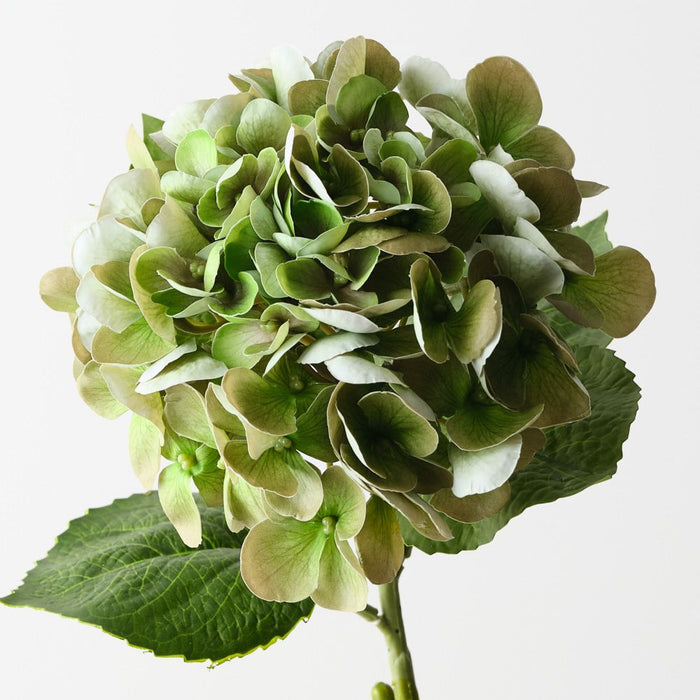 Artificial Hydrangea 60cm Green - Pack of 6 - FLORA DESIGNS