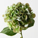 Artificial Hydrangea 60cm Green - Pack of 6 - FLORA DESIGNS