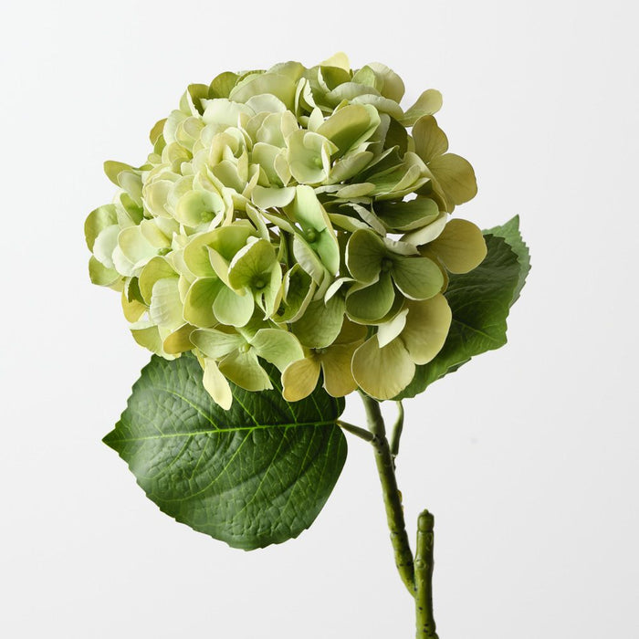 Artificial Hydrangea 60cm Light Green - Pack of 12 - FLORA DESIGNS