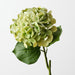 Artificial Hydrangea 60cm Light Green - Pack of 12 - FLORA DESIGNS