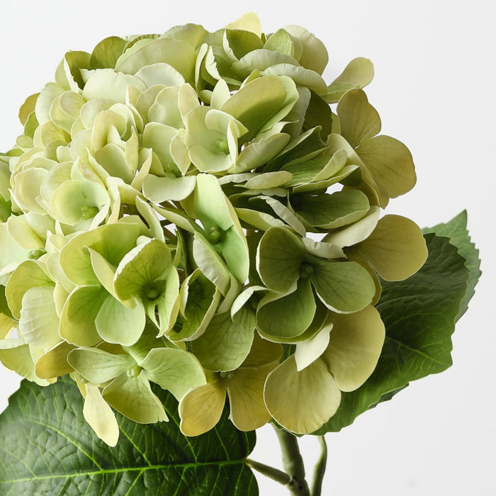 Artificial Hydrangea 60cm Light Green - Pack of 12 - FLORA DESIGNS