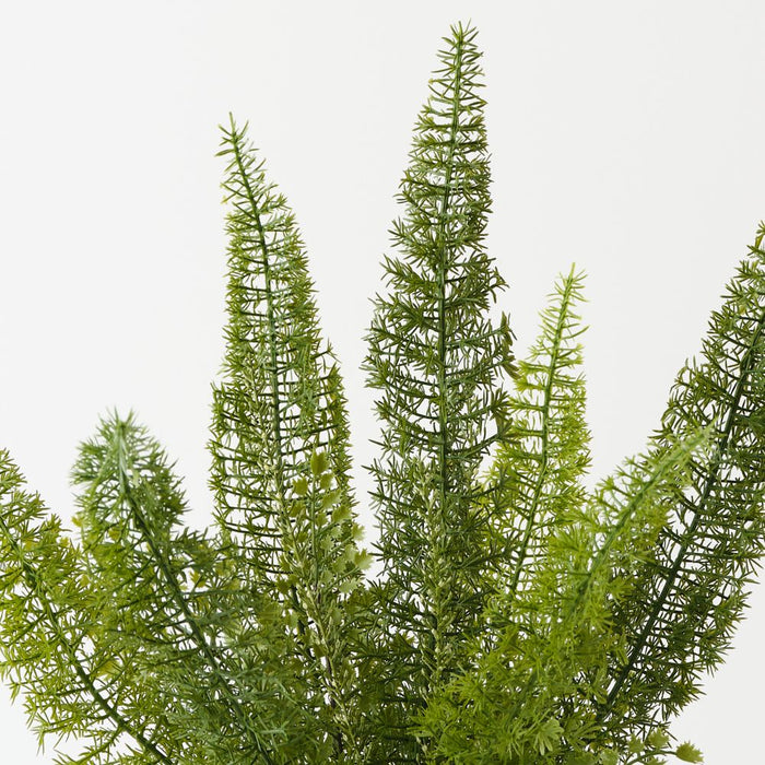 Artificial Foxtail Fern Plant 50cm Green - Pack of 2 - FLORA DESIGNS