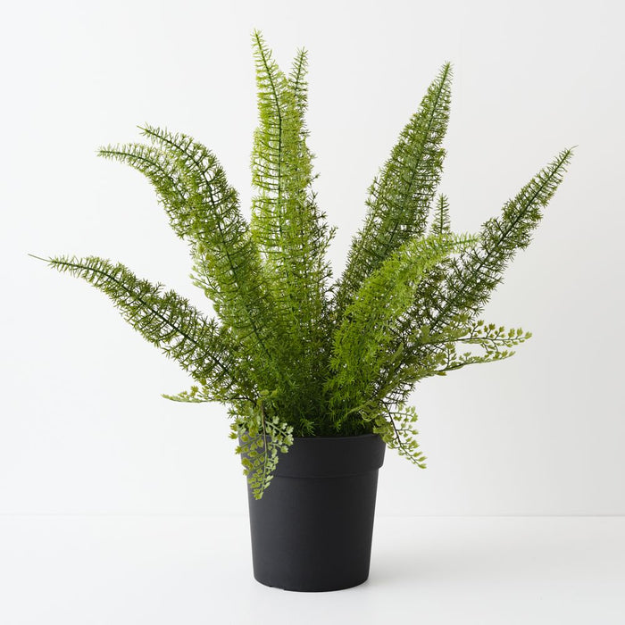 Artificial Foxtail Fern Plant 60cm Green - FLORA DESIGNS