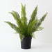 Artificial Foxtail Fern Plant 60cm Green - FLORA DESIGNS