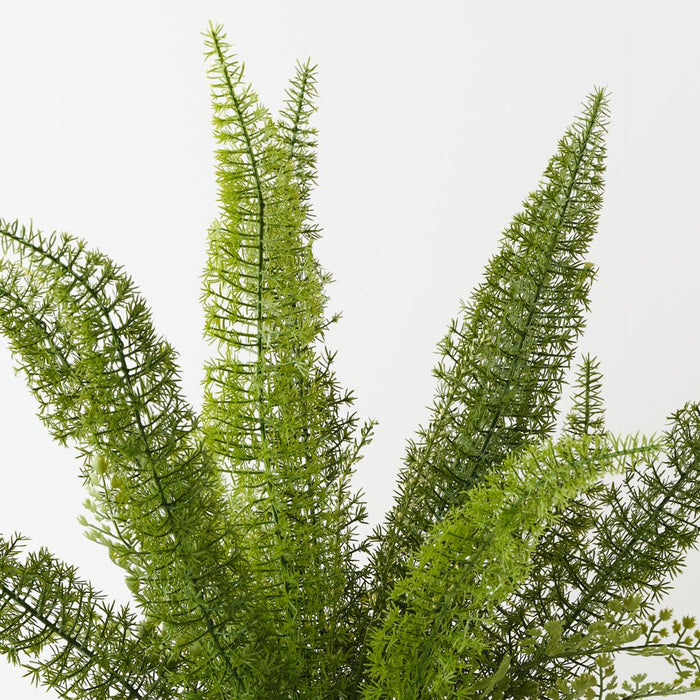 Artificial Foxtail Fern Plant 60cm Green - FLORA DESIGNS