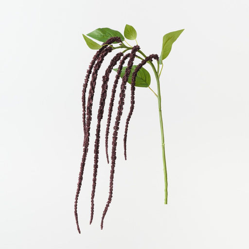 Artificial Amaranthus Spray 61cm Black Plum - Pack of 12 - FLORA DESIGNS