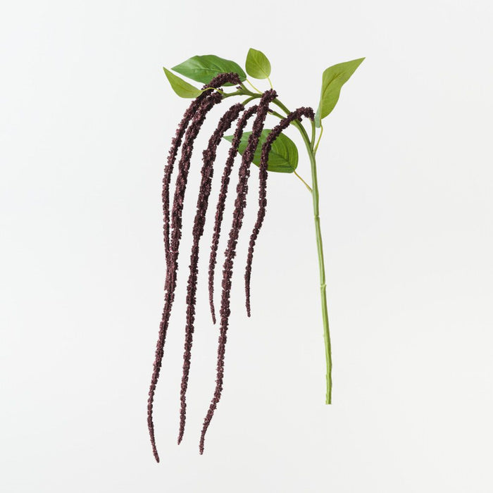 Artificial Amaranthus Spray 61cm Black Plum - Pack of 12 - FLORA DESIGNS