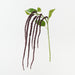 Artificial Amaranthus Spray 61cm Black Plum - Pack of 12 - FLORA DESIGNS