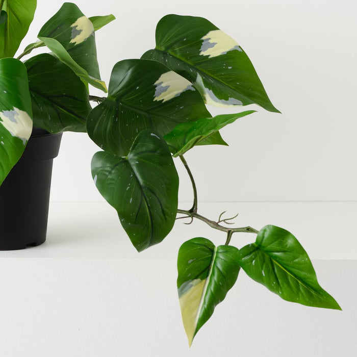 Artificial Pothos Vine Plant 44cm Green White - Pack of 2 - FLORA DESIGNS