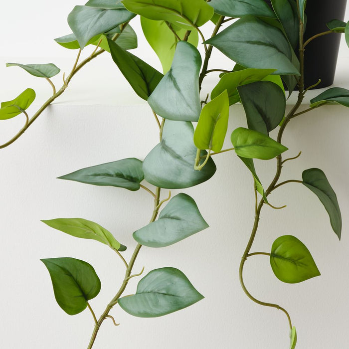 Artificial Hoya Plant 70cm Green - Pack of 4 - FLORA DESIGNS