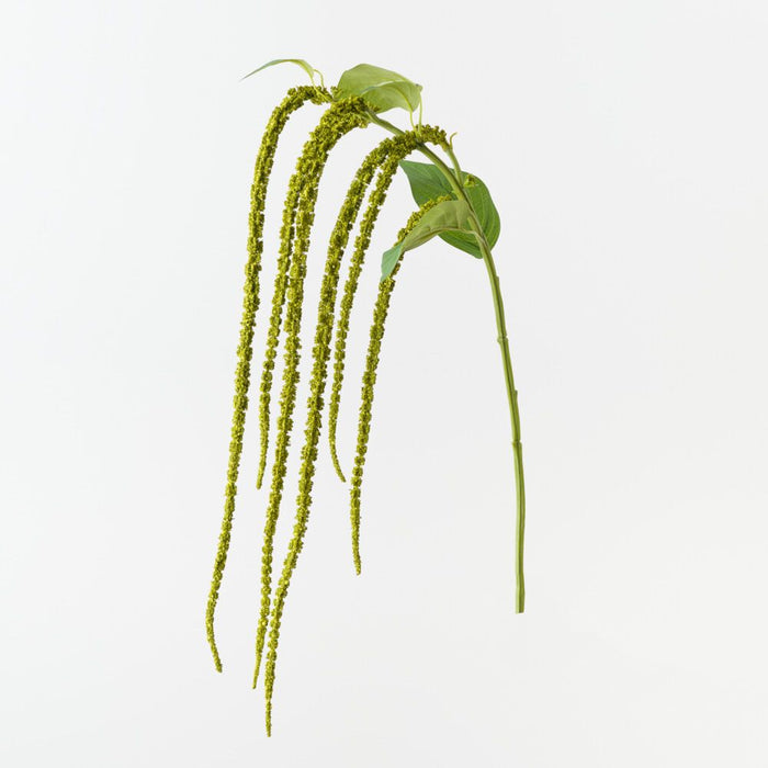Artificial Amaranthus Spray 61cm Green - Pack of 12 - FLORA DESIGNS