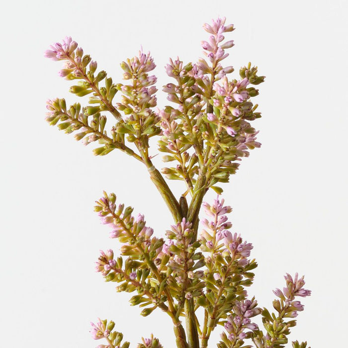 Artificial Lavender Spray 66cm Lavender - Pack of 12 - FLORA DESIGNS