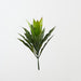 Artificial Cordyline Bush 36cm Green - Pack of 12 - FLORA DESIGNS